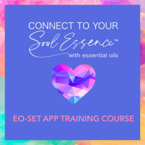 Connect to your Soul Essence Training Course